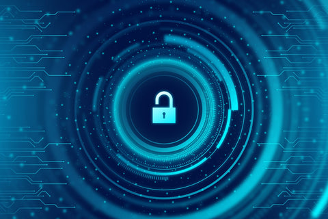 Mercredi 25 janvier 2023 (12h à 13h) : Cyber-attaque et cybersécurité Effets citoyens et sur nos services publics Ministère de la sécurité publique / Gouvernement du Canada